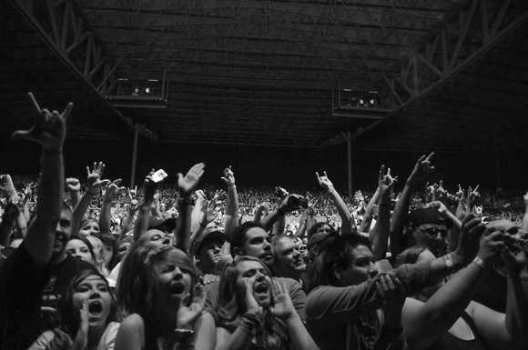Audience